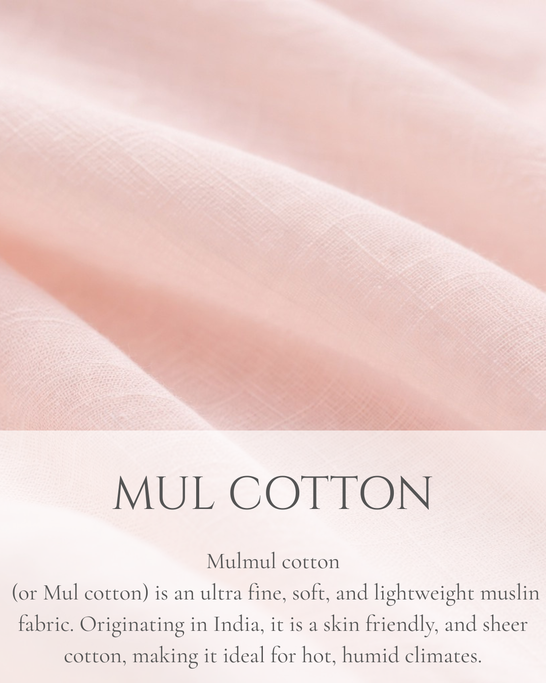 Mul Mul Muse